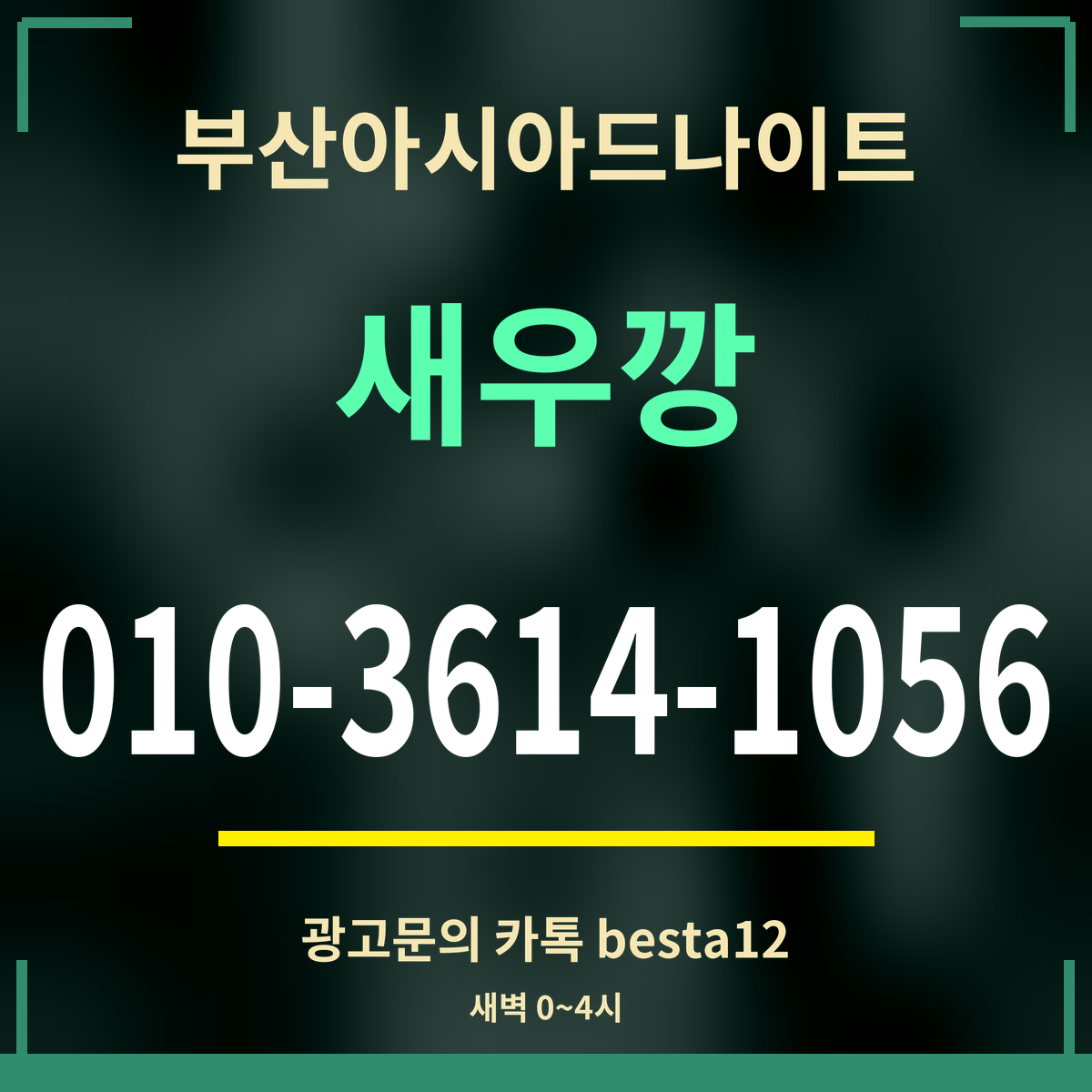 부산아시아드나이트 새우깡 010-3614-1056 광고문의 카톡 besta12