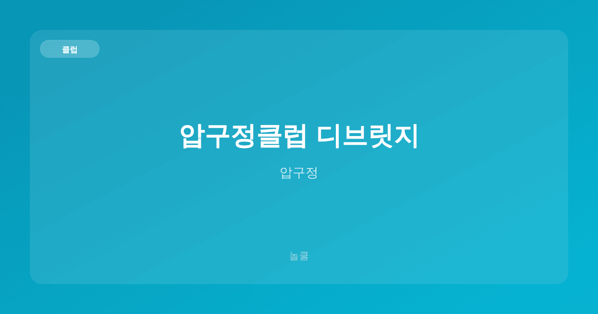 압구정클럽 디브릿지 클럽 압구정