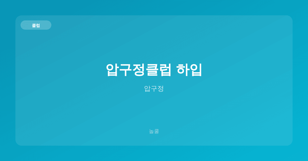 압구정클럽 하입 클럽 압구정