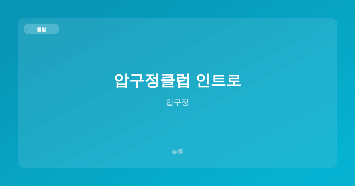 압구정클럽 인트로 클럽 압구정