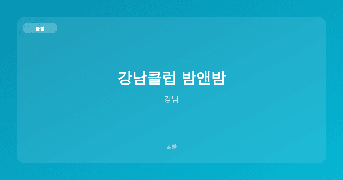 강남클럽 밤앤밤 클럽 강남