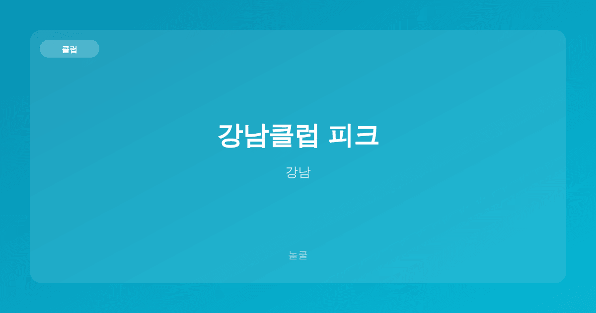 강남클럽 피크 클럽 강남