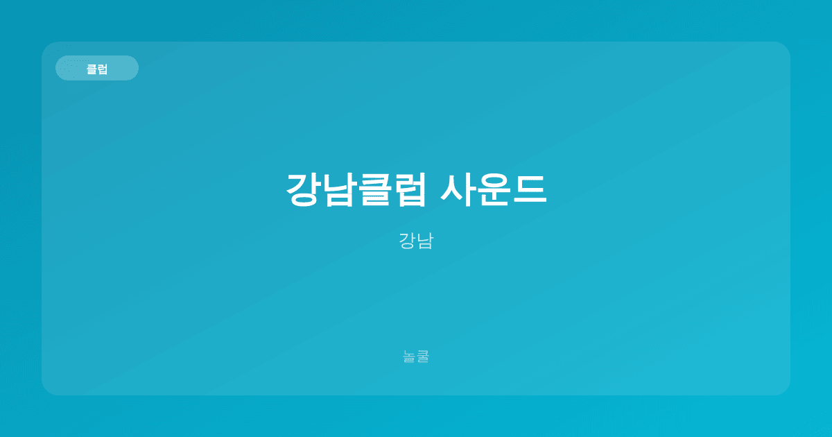 강남클럽 사운드 클럽 강남