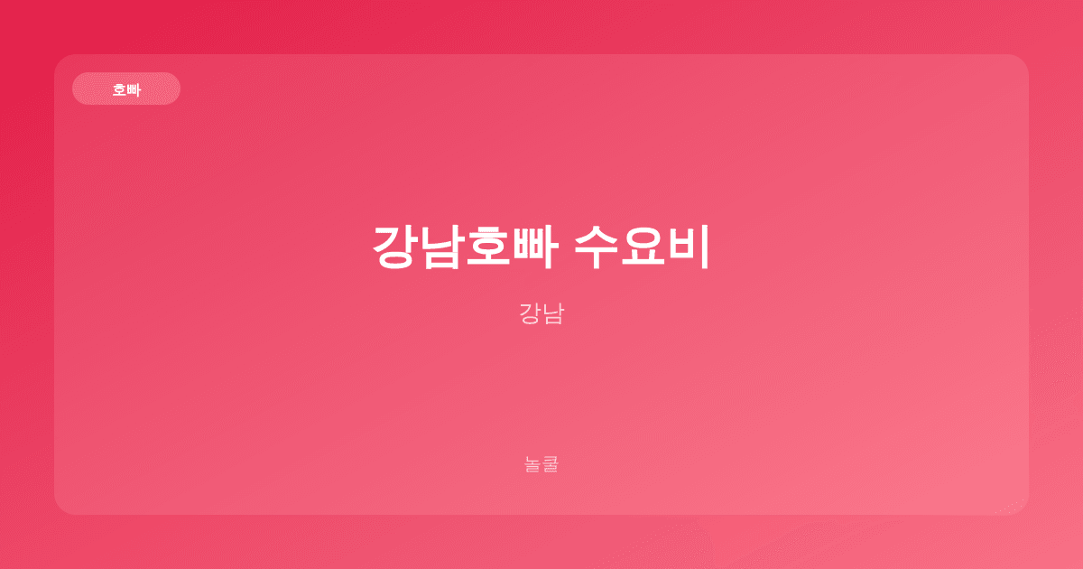강남호빠 수요비 호빠 강남