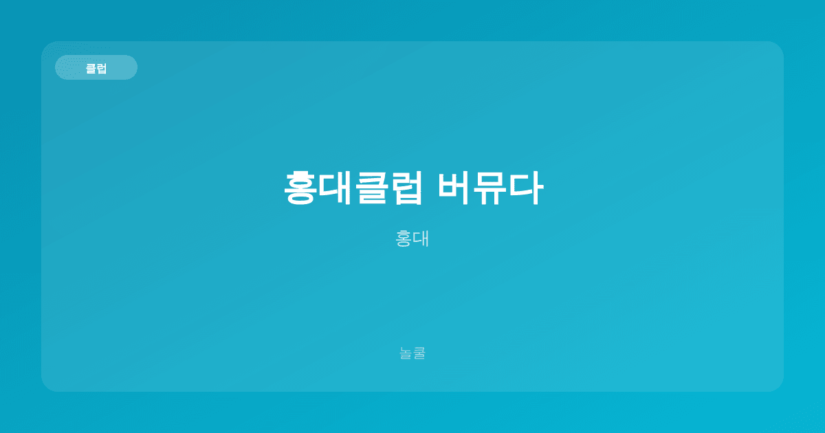 홍대클럽 버뮤다 클럽 홍대