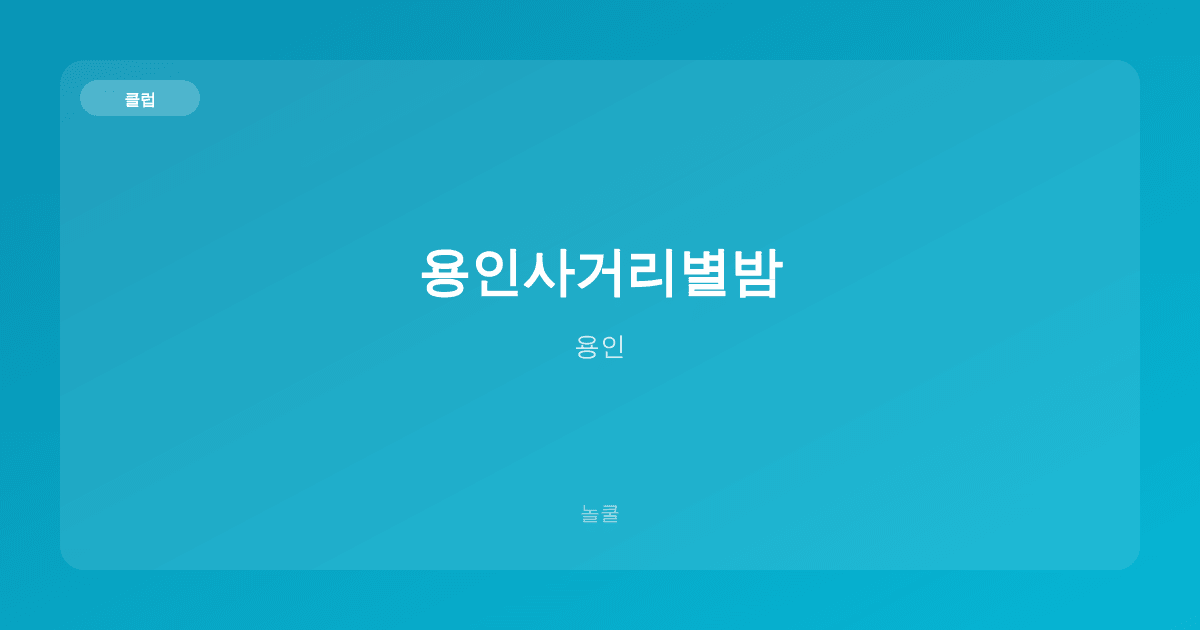 용인사거리별밤 클럽 용인